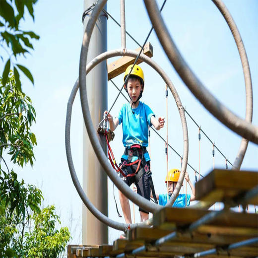 【班级/团队定制】增城·木工体验1日营| 巧手筑梦，培养孩子匠人精神，更有丛林穿越、无动力乐园等你来撒欢！ 商品图2