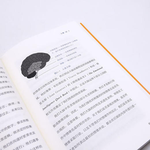 职场软技能 商品图9