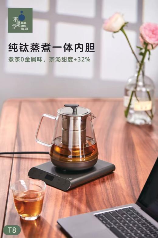 不觉堂T8纯钛蒸煮一体内胆玻璃煮茶炉蒸茶玻璃壶烧水壶专用 商品图3
