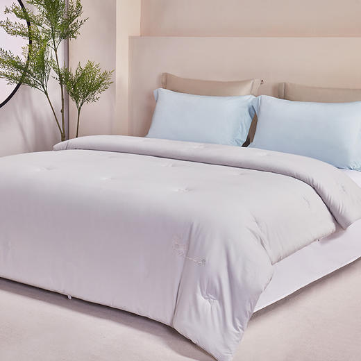 【维科家纺】山茶花纤维春秋被 商品图1