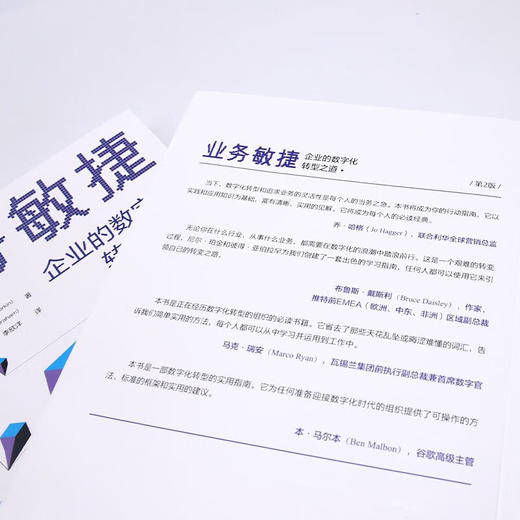 业务敏捷：企业的数字化转型之道（第2版） 商品图6