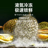 【BF】猫山王榴莲整果BC级 约2-2.5斤(保3房) 商品缩略图4