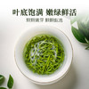 【2026新茶上市】泥巴哥精品雀舌烘青绿茶明前青叶甘露100g*2罐 商品缩略图3