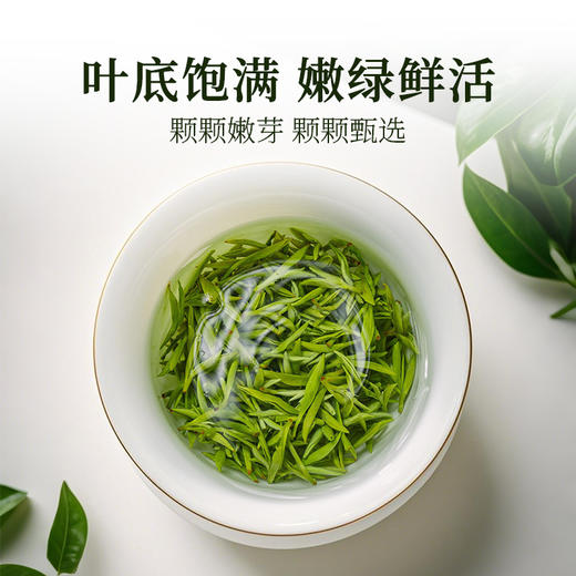 【2026新茶上市】泥巴哥精品雀舌烘青绿茶明前青叶甘露100g*2罐 商品图3