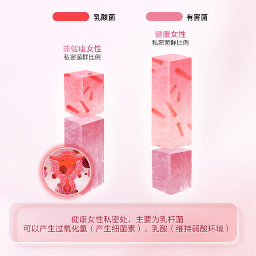 优雅乐&康叶 蔓越莓女性益生菌30袋/盒 商品图2