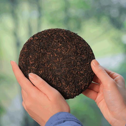 蛇尖 茶频道自营 十二年陈老茶 2013年普洱熟茶*1 200g/饼  2013年白茶*1 200g/饼 商品图6