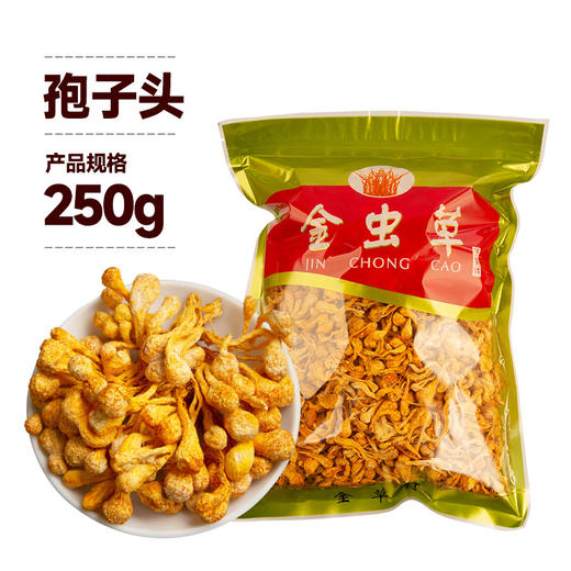 【家庭必备❗️特级虫草花】严格甄选，营养价值更高，富含大量矿物元素，特级不熏硫孢子头，菌菇补品煲汤，蛹虫草花食用菌L 商品图4