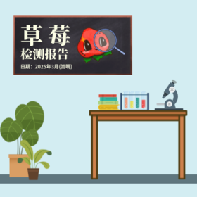 草莓检测报告2025年3月(嵩明)