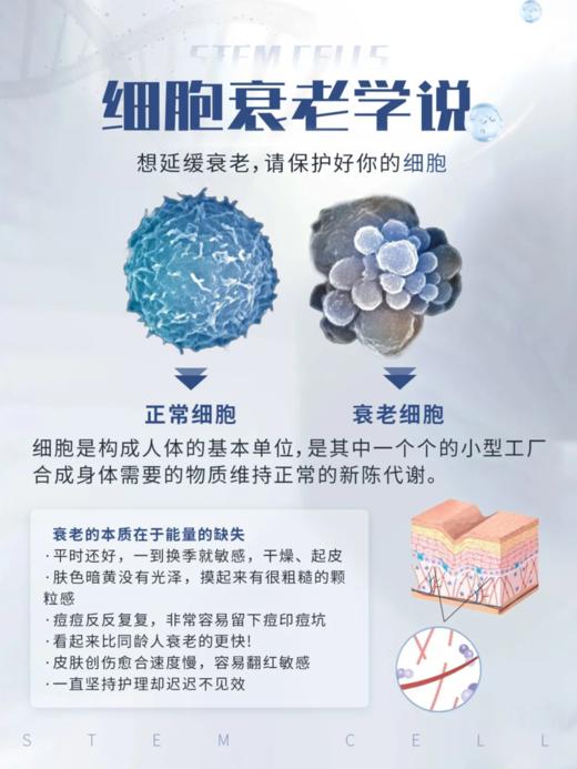 臻艾卡琳娜-白细胞极光逆龄水光精华液(3ml*100支) 商品图11