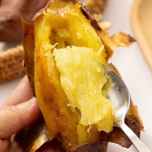 LD红瑶蜜薯 净重4.5斤 中大果（单果约3-8两） 商品图1