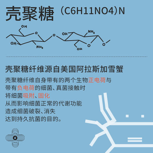 【特价爆款】小番薯PotatoKids儿童壳聚糖内裤排汗透气舒适平角内裤 商品图2