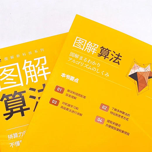 图解算法：从基础知识到实际应用的算法入门书 deepseek教程 商品图5