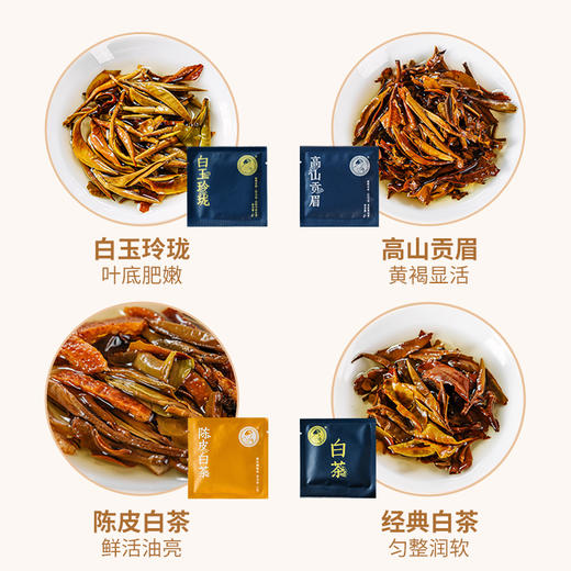 【积分兑换】澜沧古茶2024年白茶品鉴装（白玉玲珑5g*1+高山贡眉5g*1+陈皮白茶5g*1+经典白茶5g*1）盒装20g 商品图4