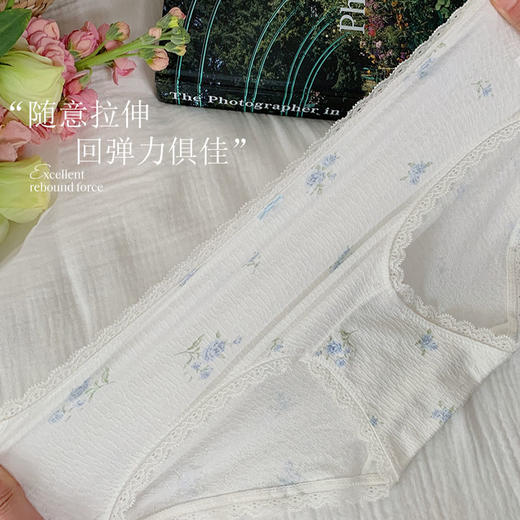 （39元2件）纪念日百货提花海盐之夏内裤160803953 商品图4