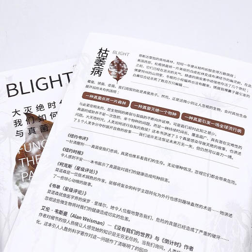 枯萎病：大灭绝时代我们如何与真菌共存 商品图6