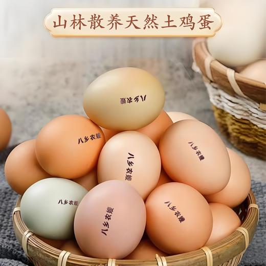 八乡山原生态土鸡蛋 商品图0