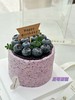 4寸蓝莓蛋糕 商品缩略图0