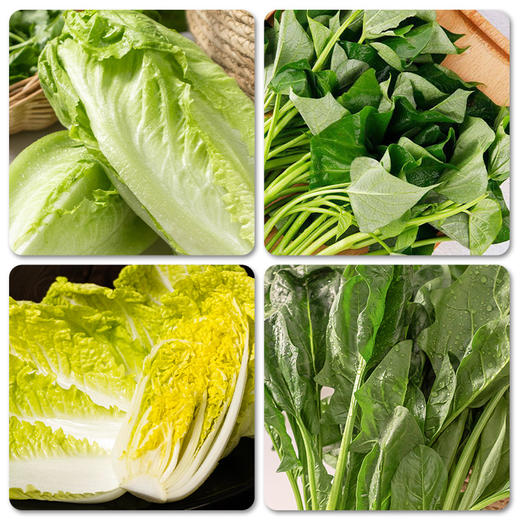 沈佳农有机蔬菜包 当季新鲜叶菜、瓜果、根茎类、菌菇类等，一包里不重复，合理搭配，营养加倍 商品图1