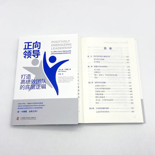 正向领导：打造高绩效团队的底层逻辑（“正向领导力之父”金·卡梅隆全新力作） 商品图8