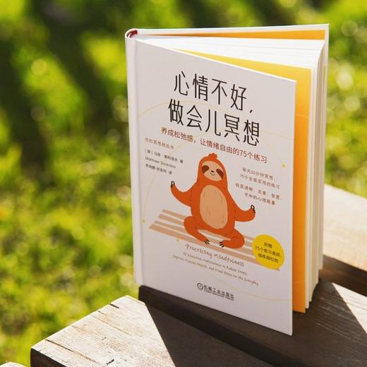 心情不好,做会儿冥想:养成松弛感,让情绪自由的75个练习 商品图2