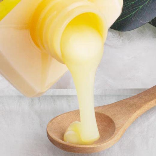 植物语录老姜王清爽去屑洗发露500ml效期27年8月 商品图2