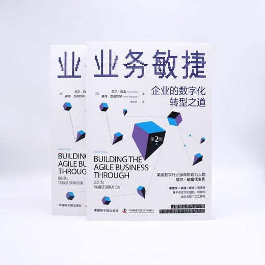 业务敏捷：企业的数字化转型之道（第2版） 商品图8