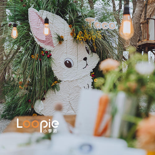 超治愈的森系户外派对 商品图0