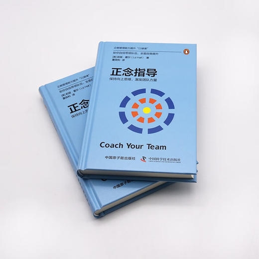 正念指导：保持向上思维，激发团队力量（精装典藏版） 企鹅管理能力提升“口袋课” 商品图5