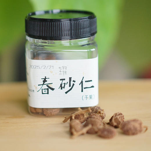 【买赠】春砂仁 | 道地·阳春春湾 | 50g 商品图0