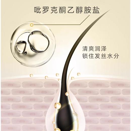 植物语录老姜王清爽去屑洗发露500ml效期27年8月 商品图1