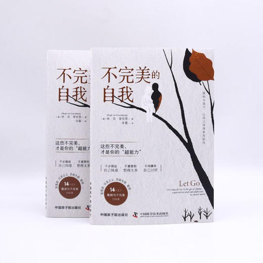 不完美的自我：接纳与放手，让自己活得更有韧性 商品图7