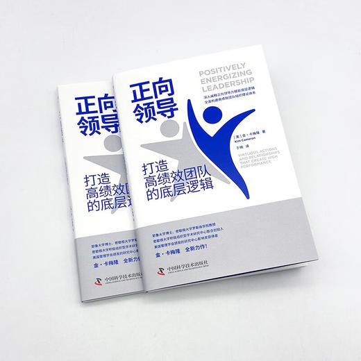 正向领导：打造高绩效团队的底层逻辑（“正向领导力之父”金·卡梅隆全新力作） 商品图4