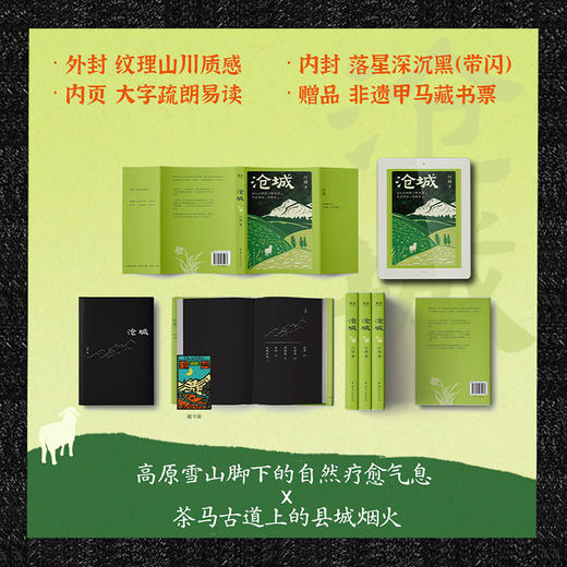 《沧城》：女人如何活？跟天学。天让你活，你就活。《当代》文学杂志权威力荐！云南版《我的阿勒泰》 商品图4