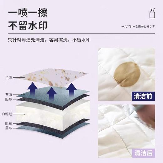 羽绒服泡沫洗涤剂300ml效期27年10月 商品图1