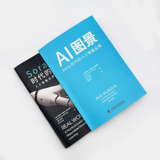 AI图景：Sora时代的人工智能应用 deepseek教程 商品图7