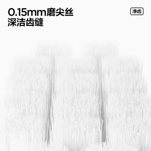 参半纤柔净白牙刷三支装-0816 商品图3