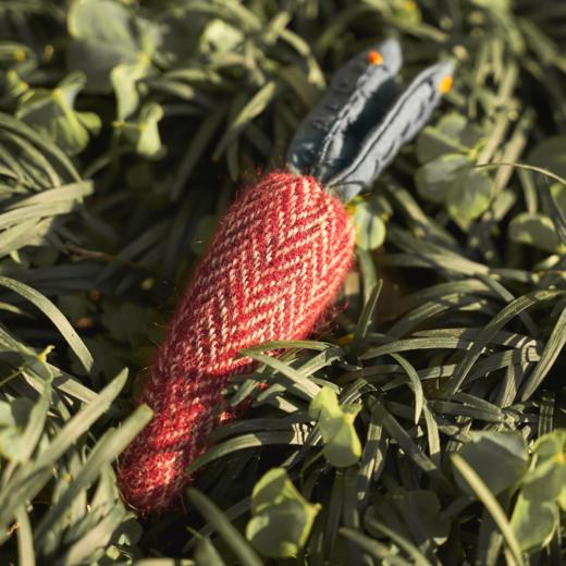 心艺珍藏：MADE51x Uma Wang 胡萝卜胸针 Carrot Brooch 商品图7