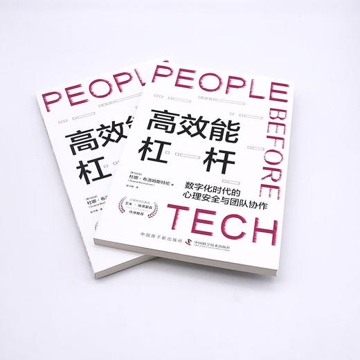 高效能杠杆：数字化时代的心理安全与团队协作 商品图5