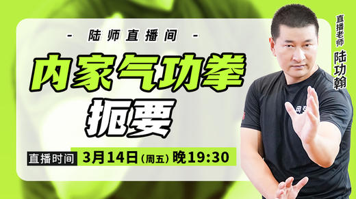 【3月14日】内家气功拳扼要 商品图0