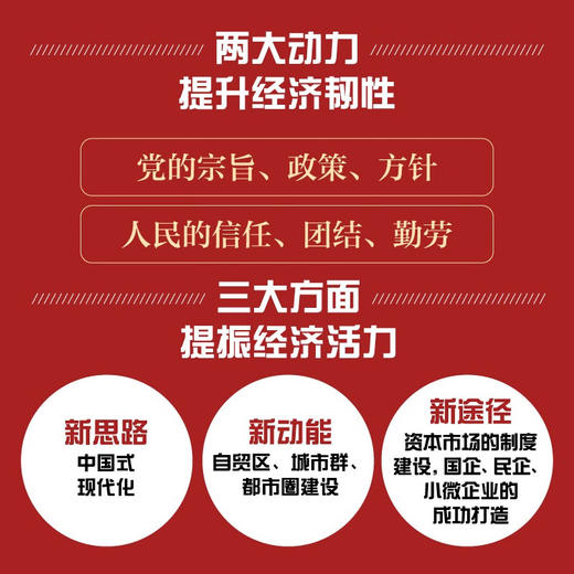 中国韧性 商品图2