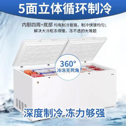 海尔（Haier）冰柜家用商用大容量双开门冰柜300/500升以上一级能效超低温海鲜速冻全冷冻冷藏茶叶卧式冷柜冰箱 719升双开门商用大容量+长1.86米 719L 商品图5