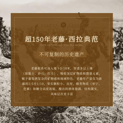 【澳大利亚国会用酒】天鹅庄外交家30 澳洲政商宴请接待用酒 南澳洲 赤霞珠 14%vol 商品图7