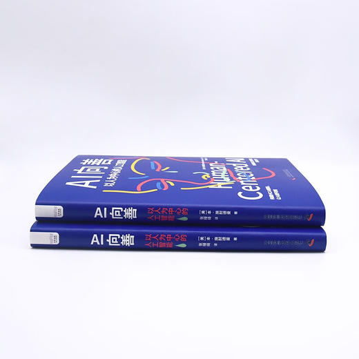 AI向善：以人为中心的人工智能 deepseek教程 商品图7