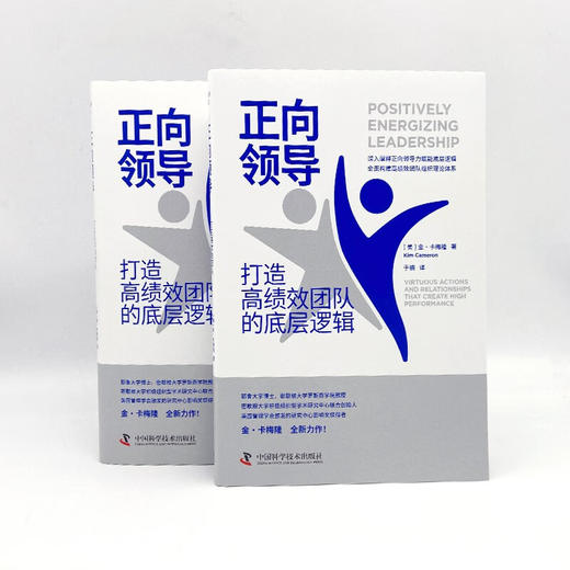 正向领导：打造高绩效团队的底层逻辑（“正向领导力之父”金·卡梅隆全新力作） 商品图7