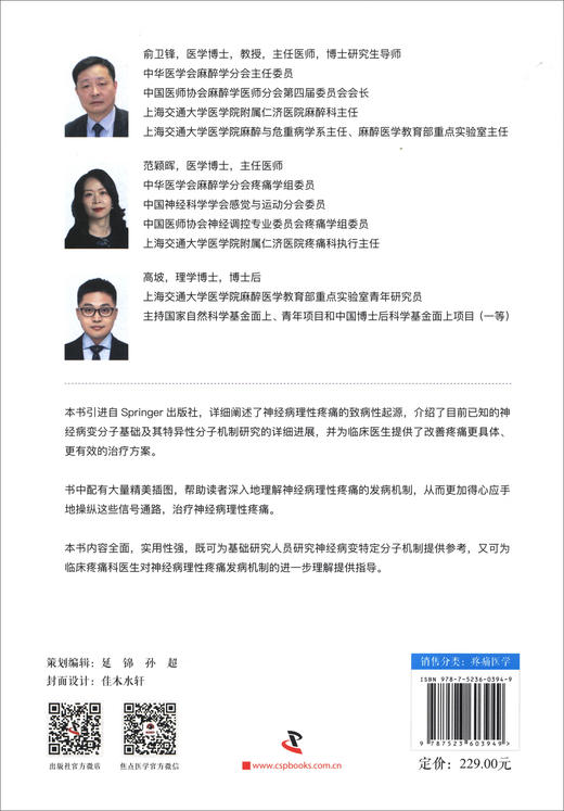 神经病理性疼痛发病机制：诊断与治疗/国际经典疼痛医学译著 商品图1