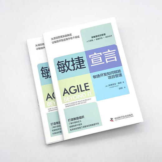 敏捷宣言：敏捷开发如何赋能项目管理 商品图3