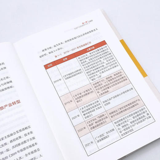 元宇宙：虚实融生构建文旅奇境 商品图9