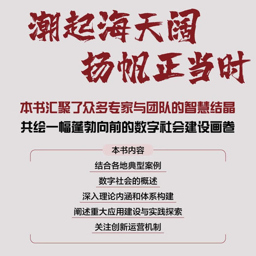 数字社会：革新与突破 商品图1