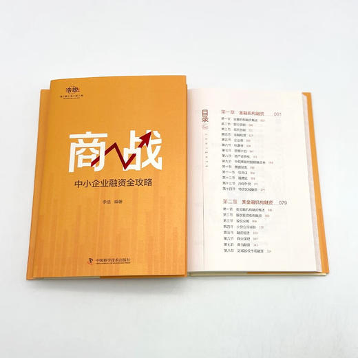 商战：中小企业融资全攻略（20余年融资实战经验汇总，中小企业融资窍门和避坑指南！） 商品图8