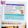 NEW Cambridge Primary Mathematics Learner's Book 3剑桥小学数学学生书三年级 商品缩略图3
